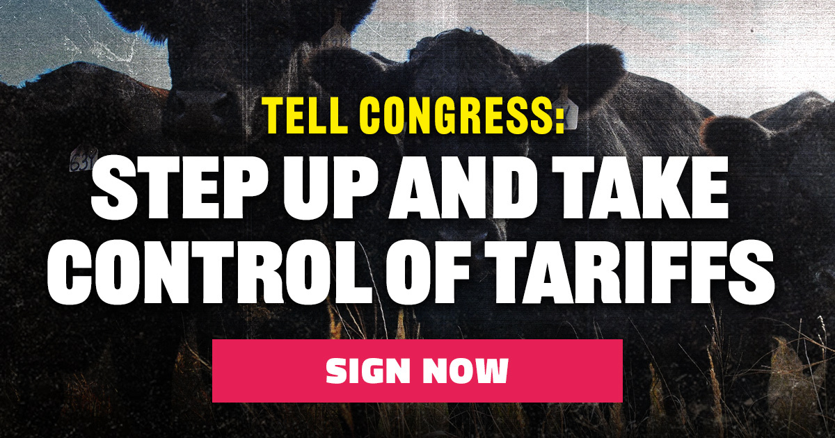 Tell Congress: Step Up and Take Control of Tariffs