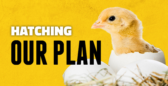 Yellow background. On right side is image of a baby chicken coming out of a shell. Left side says Hatching Our Plan