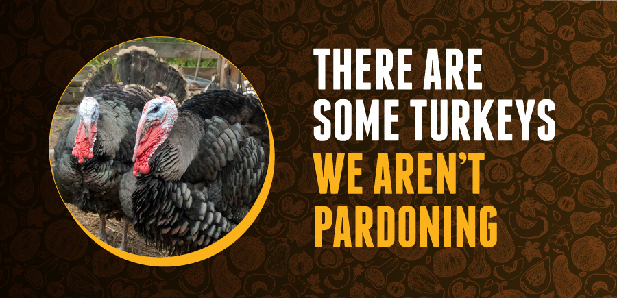 Image of two turkeys looking like they are plotting something nefarious. Text says There Are Some Turkeys We Aren't Pardoning